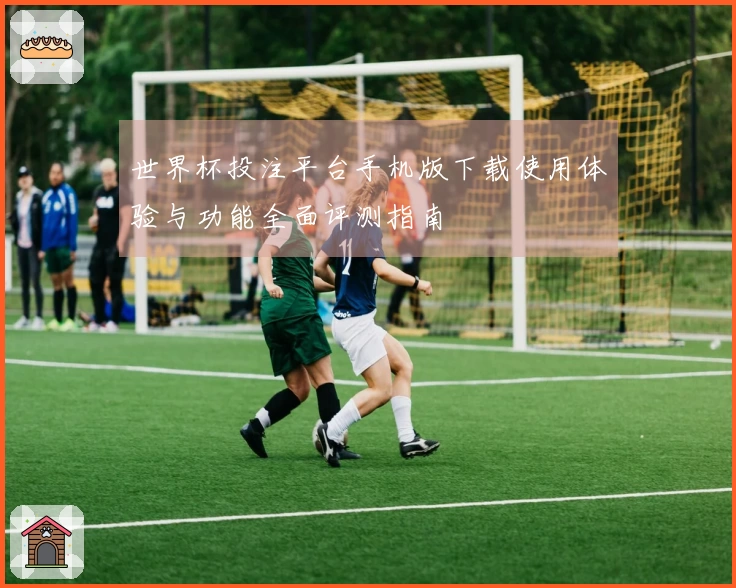 世界杯投注平台手机版下载使用体验与功能全面评测指南