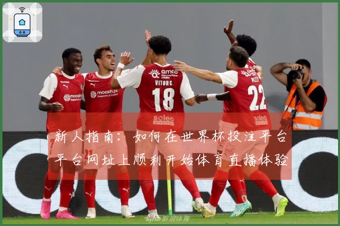 新人指南：如何在世界杯投注平台平台网址上顺利开始体育直播体验