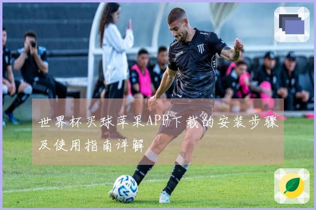 世界杯买球苹果APP下载的安装步骤及使用指南详解