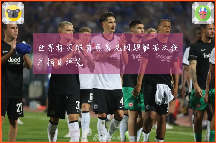 世界杯买球首页常见问题解答及使用指南详览