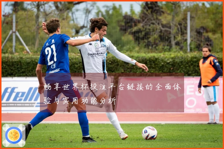 畅享世界杯投注平台链接的全面体验与实用功能分析